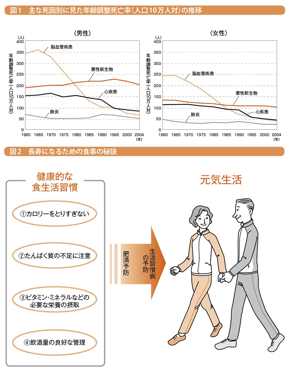 たんぱく質やビタミン・ミネラルの十分な摂取が健康長寿に寄与