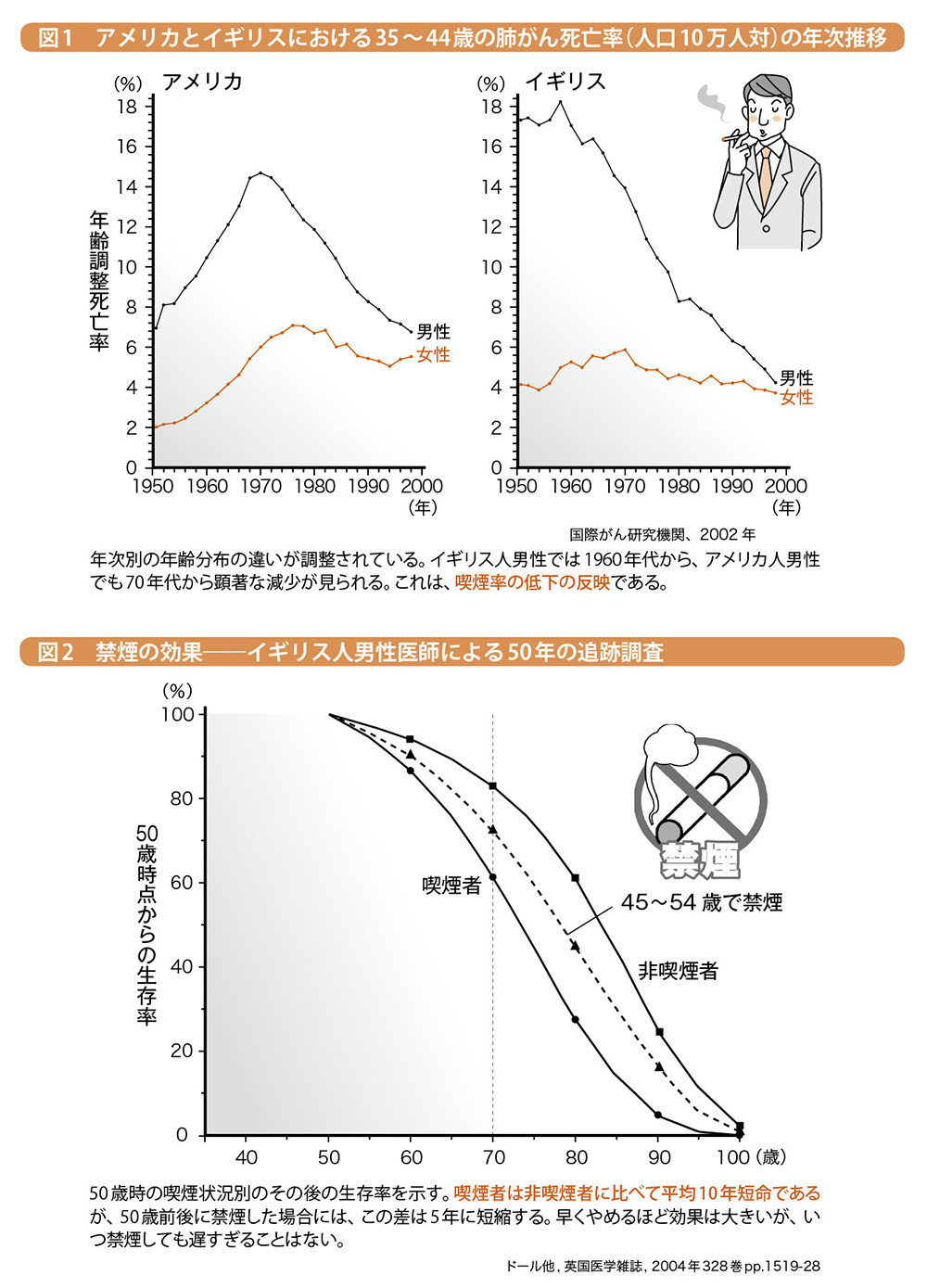 早くやめるほど大きな予防効果ただし禁煙に遅すぎはなし