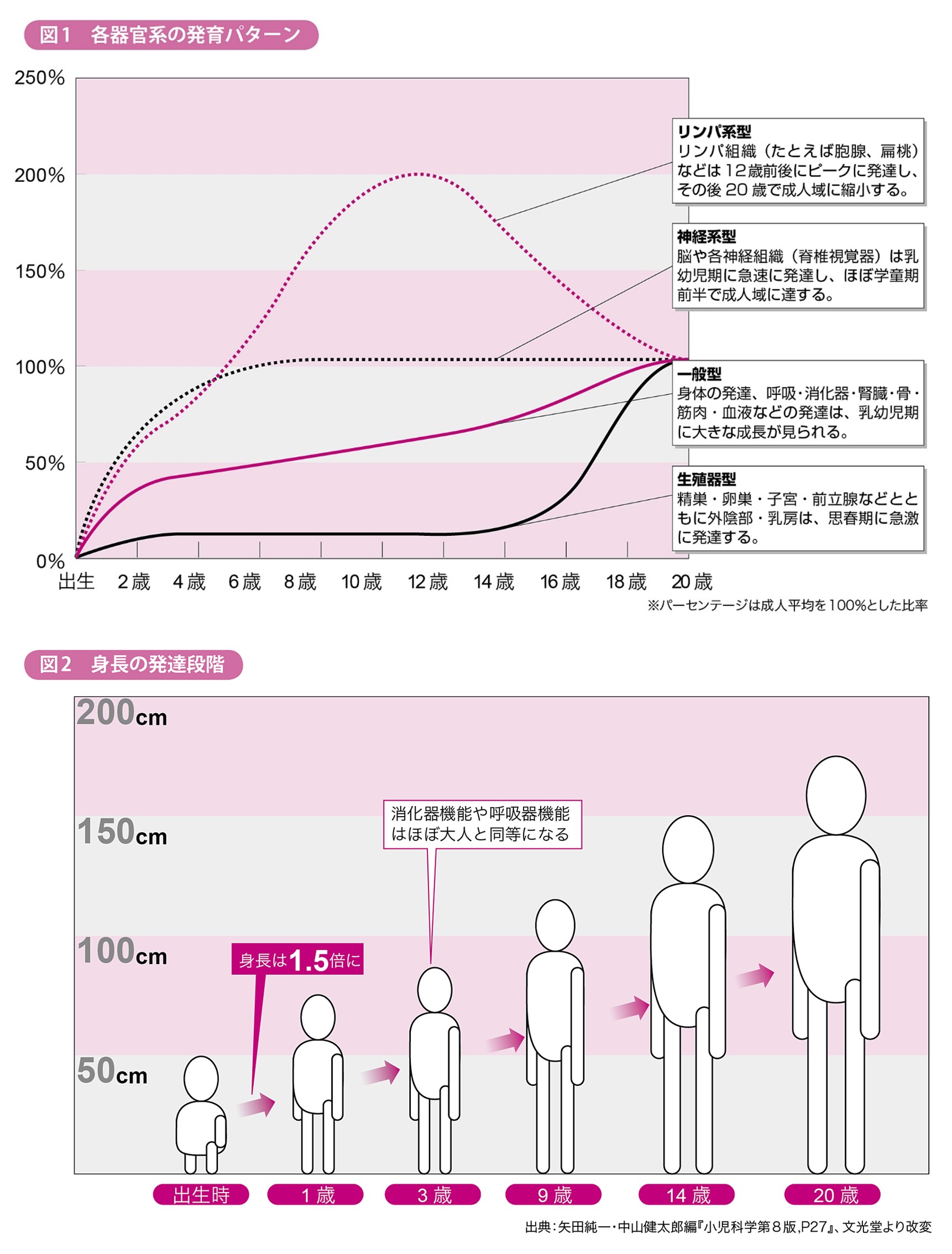 子どもの成長パターンを知り健全な発育環境を整えよう