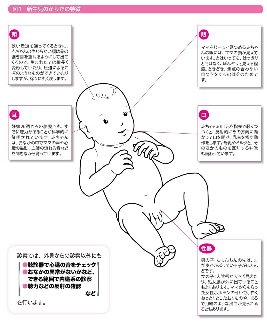 新生児健診 異常はないかな 元気かな 生まれてすぐに全身チェック