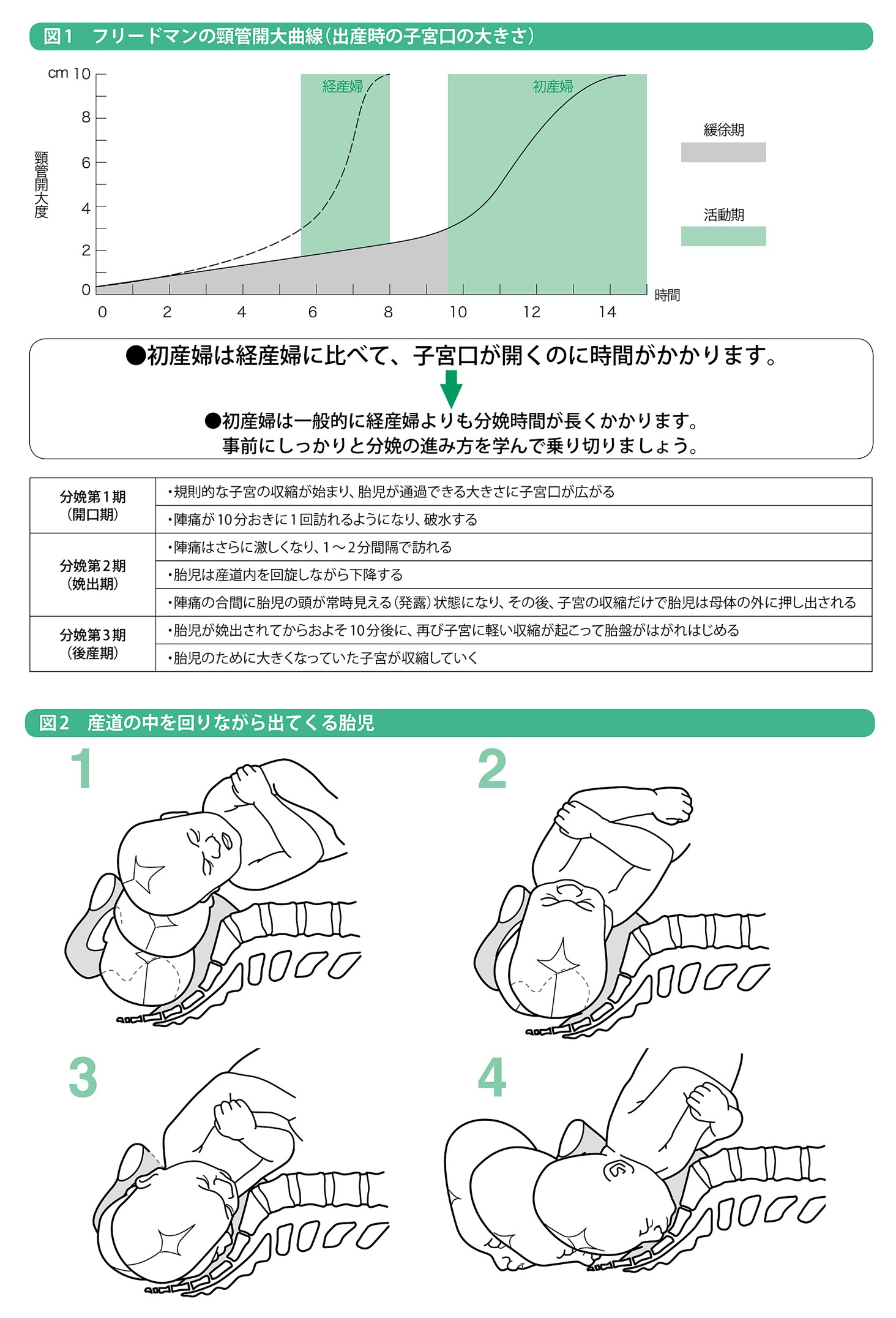 分娩 分娩のプロセスをよく知り満足できるお産をめざそう