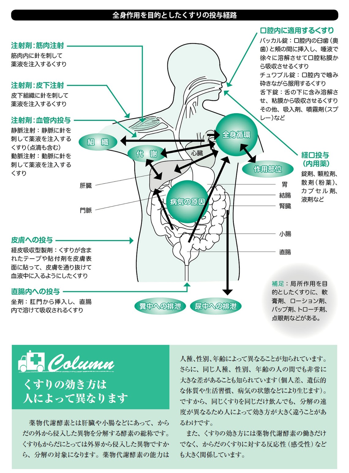 その他動態